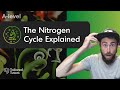 Exploring the Nitrogen Cycle Processes