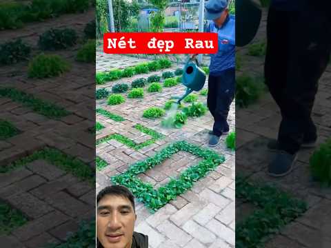 Nét đựp Mới Của Nhà Vườn .#nhàvườn #trồngrau