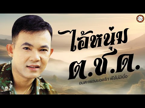 อมตะเพลงยอดรัก เพลงเก่าเพราะๆ ฟังเพลิน ไม่มีเบื่อ #ไอ้หนุ่ม ต.ช.ด. #ต.ช.ด.ขอร้อง #ต.ช.ด.ใจเดียว