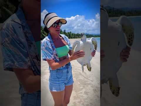 Small to big animal transformation! 💀