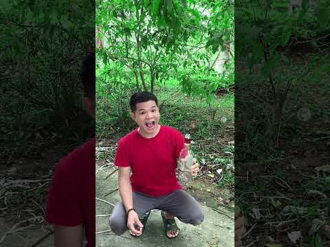 Why did this happen? The bottle๐พ of wine is still there ๐๐คฏ #funny #couple