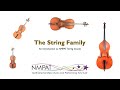 Understanding String Instruments and Their Components