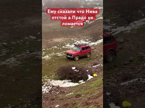 Испытание Нивы и Прадо на прочность #drive #auto #rek #travel #горы #streetfood #food #внедорожник