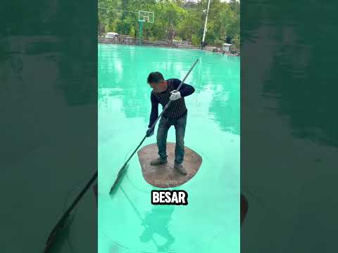 Trik Untuk Lolos Dari Kepungan Cat