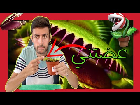 أخطر نبتة في العالم أكلت اللحوم مصيدة فينوس النادرة !!