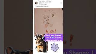 My Mia 🐾 thank you ​@shaggyboyedits77