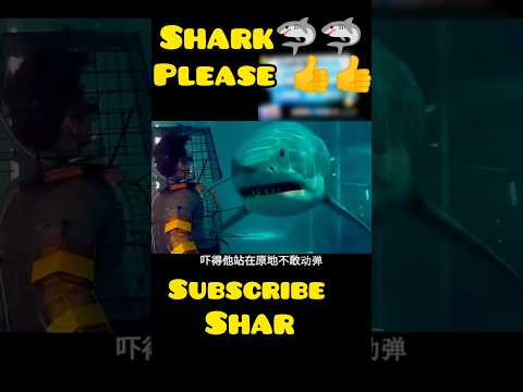 Danguras shark🦈🦈 big shark🦈🦈#freefire #drama #shortfeed #rider #shark #movie #aahat #shortvideo