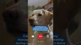 Calling HR: Naptime