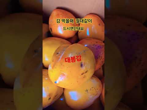 독이되는3#꽃게#도토리묵#고구마