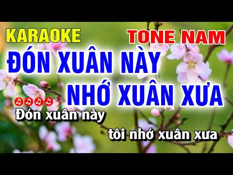 Đón Xuân Này Nhớ Xuân Xưa Karaoke Tone Nam Nhạc Sống | Nguyễn Linh