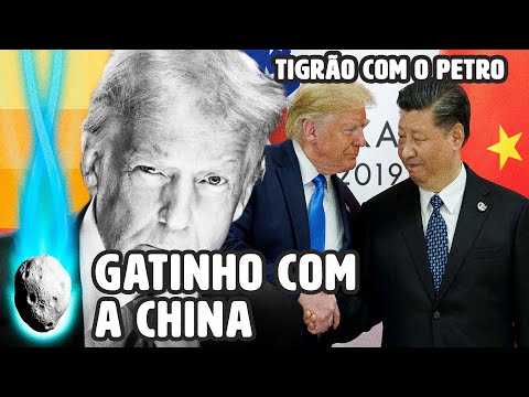 A TÁTICA DE TRUMP NA PRESIDÊNCIA: TIGRÃO COM A AMÉRICA LATINA E GATINHO COM A CHINA | PLANTÃO