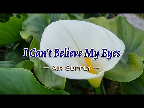 I Can’t Believe My Eyes – KARAOKE VERSION – in the style of Air Supply