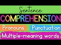 Enhancing Sentence Comprehension with Pronouns and Punctuation