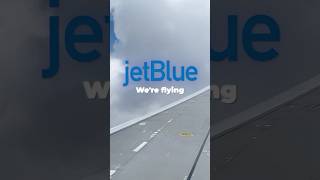 Why JetBlue Economy Might Be the Best in the U.S. | #shorts