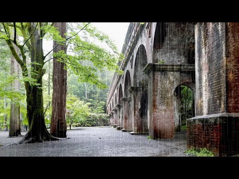 Harmony of Beautiful Scenery & Comfortable Rain Sounds, Peaceful White Noise, Meditate, Study