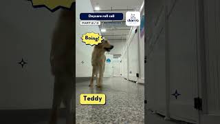 Part 2 Doggy Daycare Roll Call