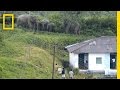 Elephant and Human Coexistence in India