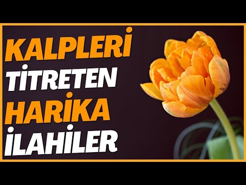 KALPLERİ TİTRETEN HARİKA İLAHİLER | Arafat dağı da bir yüce dağdır