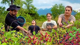 Harvesting Fresh Blackberries – Village Life and Family Cooking
