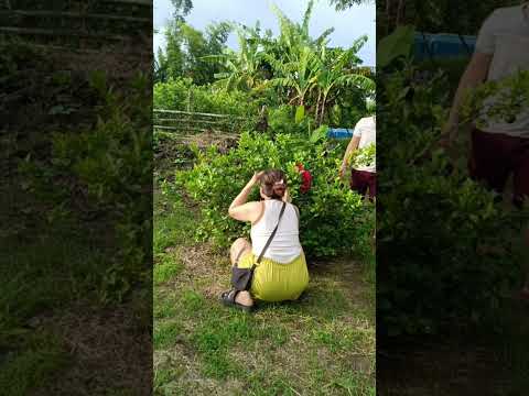 gd hạnh phúc #shorts #funny