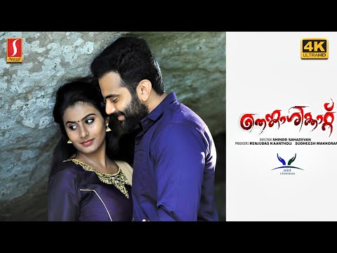 New Movie | Thenkasikkattu Malayalam Full Movie 4K | Hemanth Menon | Jiivika Pillappa | Kavya