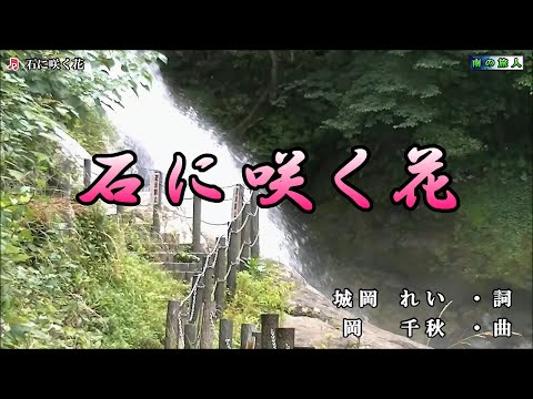 北見恭子【石に咲く花】カラオケ