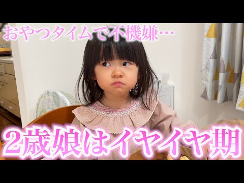 【イヤイヤ期】おやつを食べてるだけでイヤイヤする2歳娘とご機嫌をとる小１息子