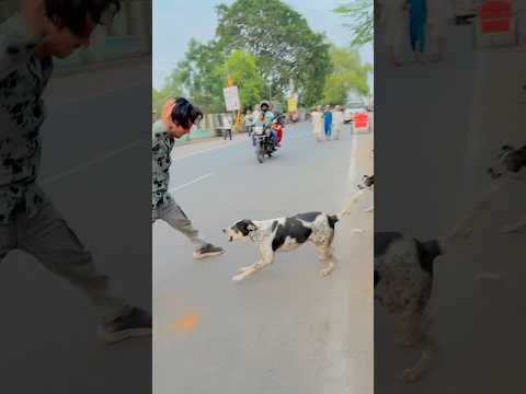 Indian dog🐶please suport🙏me guys #funny #story #youtube