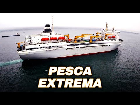 Al descubierto: el MAYOR Barco Factoría de Pescado (Episodio 2) | Documental