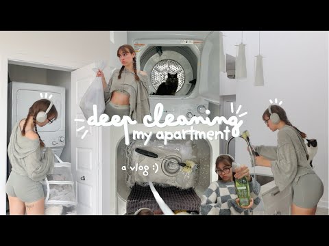 deep cleaning my apartment! 🫧🧹 as a 24 yr old w 3 cats :)