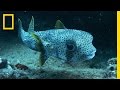 Underwater Photography Techniques and Facts