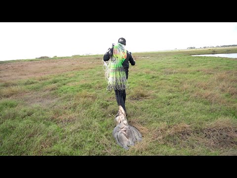 Increible En El Charco Que Pescamos Megatilapias, Pesca Y Cocina De Tilapias Gigantes