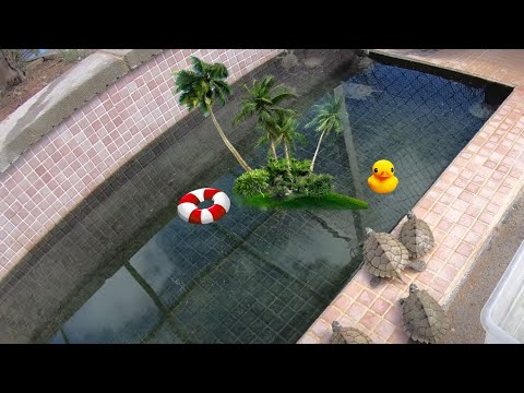 Las tortugas se mudan a su nuevo y más espacioso Tortuguero!!