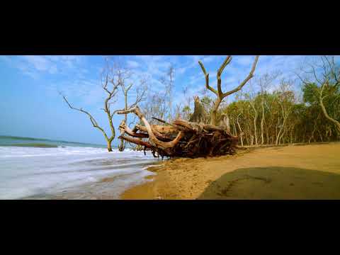 Bhitarkanika, Travel Soon for Odisha By Road