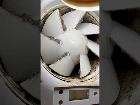 Your Noisy Extractor Fan Is Failing You – Fix It Now!