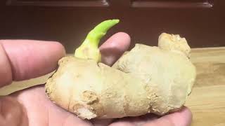 HINDI KANA KAKAPUSIN SA PERA ITO ANG DAPAT MONG GAWIN NGAYONG GHOSTMONTH -APPLE PAGUIO7