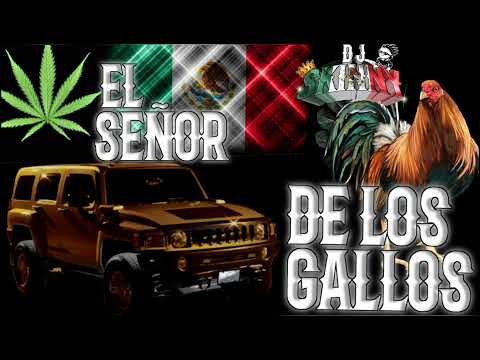 Corridaos pa' el señor de los gallos mixx