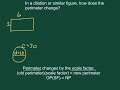 Scaling Effects on Perimeter and Circumference