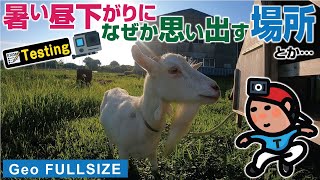 【GeoLOG20220806】暑い昼下がりになぜか思い出す場所とか…