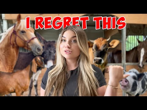 I regret getting this animal | Q&A