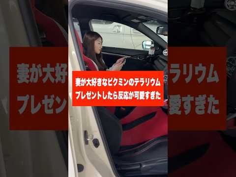 妻が大好きなピクミンのテラリウムプレゼントしたら反応が可愛すぎた　#カップル#夫婦 #可愛い