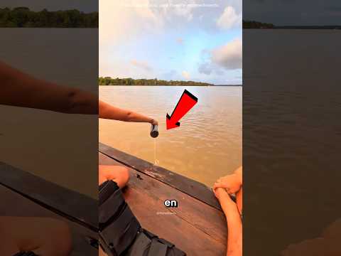 Pirañas salieron del agua 😱🐟 #Catsoftiktok #CatLovers #cat #cute #FunnyCats #catcartoon #fyp