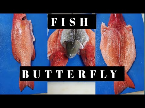 How To Cut a Fish | How to cut a Butterfly Fish #fish