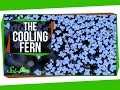 Climate Change and Azolla Ferns