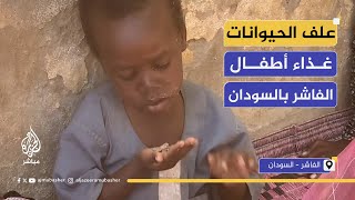 الفاشر.. "الأمباز" الطعام شبه الوحيد للنازحين في ظل الحصار والجوع