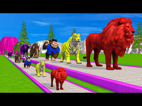 Paint Animals Duck,Tiger,Cow,Lion,Buffalo,Gorilla,Elephant,Dinosaur Fountain Crossing Animal Game