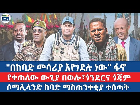 "በከባድ መሳሪያ እየገደሉ ነው" ፋኖ/ የቀጠለው ውጊያ በወሎ፣ጎንደርና ጎጃም/ ሶማሊላንድ ከባድ ማስጠንቀቂያ ተሰጣ