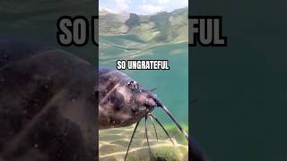 This Catfish Disrespected Me, So I Caught Him! 🐈 🎣
