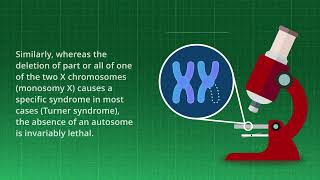 Body Blueprint: Sex Chromosome Abnormalities | Merck Manual Professional Version