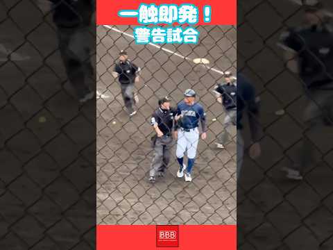 学生野球でまさかの警告試合！#shorts #野球 #乱闘 #プロ野球 #npb #大学野球